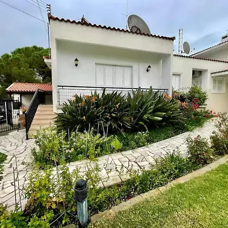 Comfortable Corporate In The Heart Of The Aiantos By Platform 357 Lejlighed Nicosia